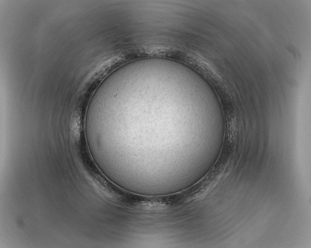 X0000114600644200911091318