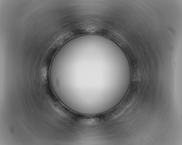 X0000114600646200911091318