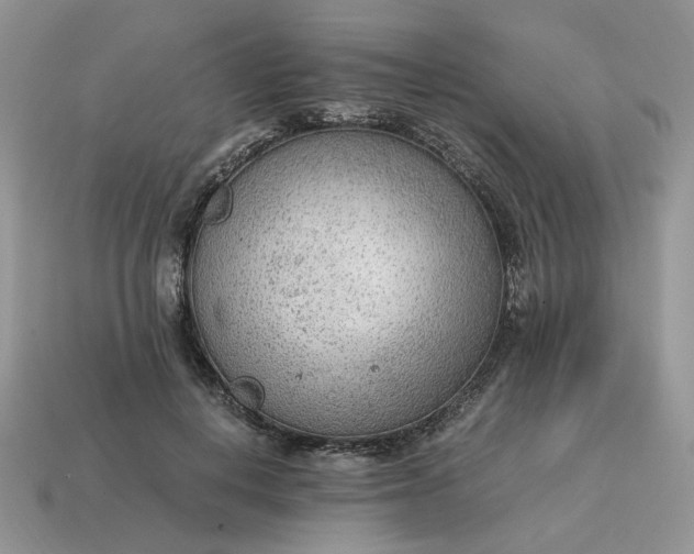 X0000114600648200911091318