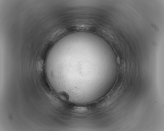 X0000114600649200911091318