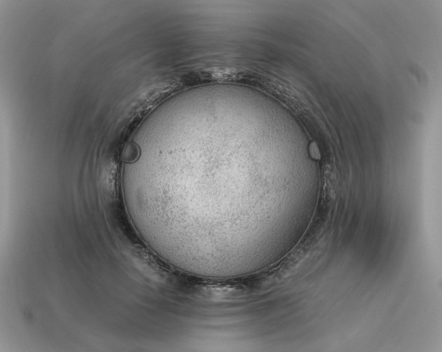 X0000114600650200911091318