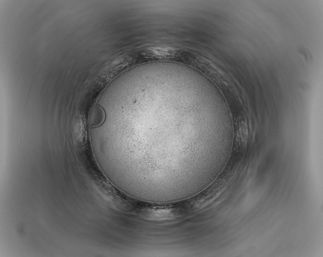 X0000114600651200911091318