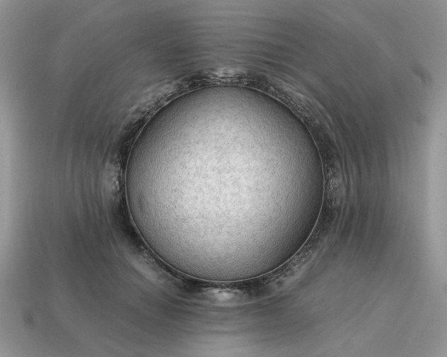 X0000114600654200911091318