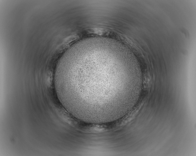 X0000114600656200911091318