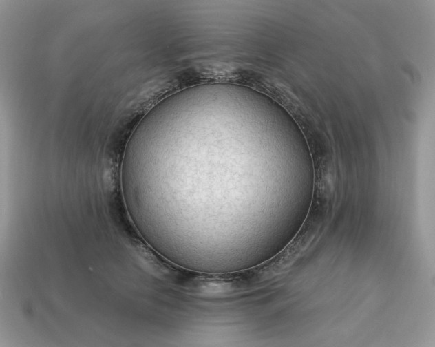 X0000114600658200911091318