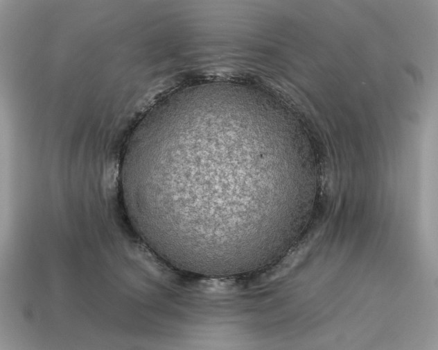 X0000114600660200911091318