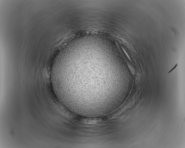 X0000114600661200911091318