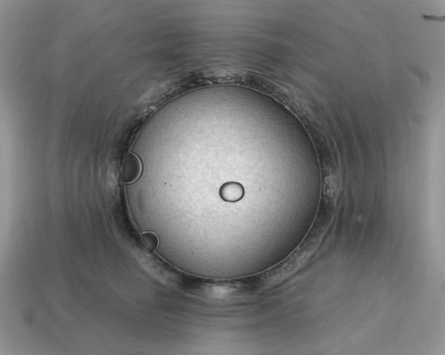 X0000114600662200911091318