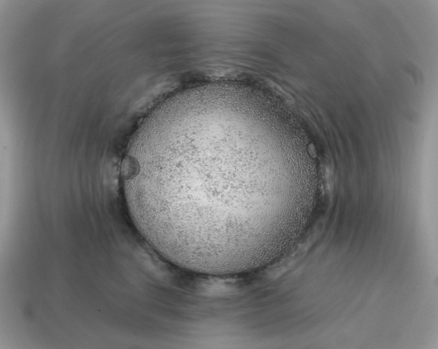 X0000114600664200911091318