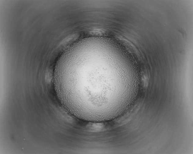 X0000114600665200911091318