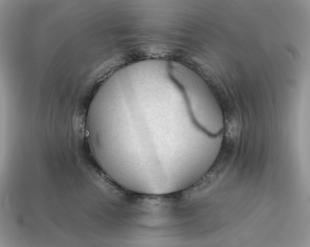 X0000114600666200911091318