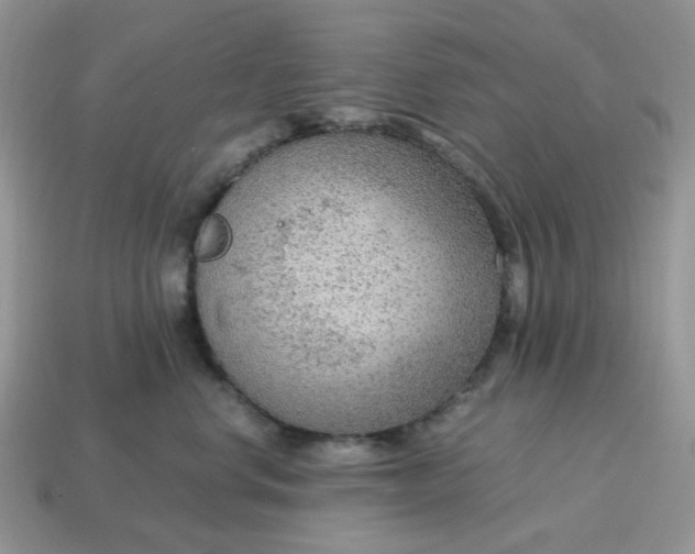 X0000114600668200911091318