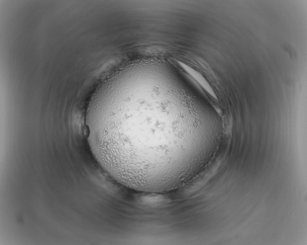 X0000114600669200911091318