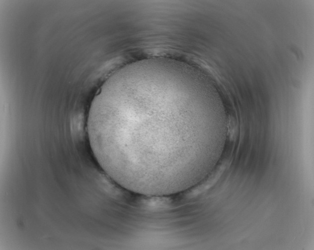 X0000114600670200911091318