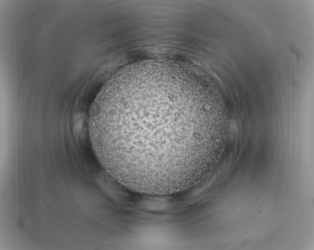 X0000114600671200911091318