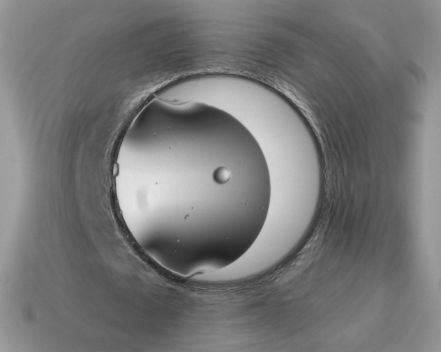 X0000114600673200911091318