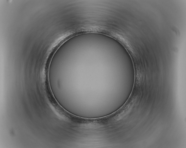 X0000114600674200911091318