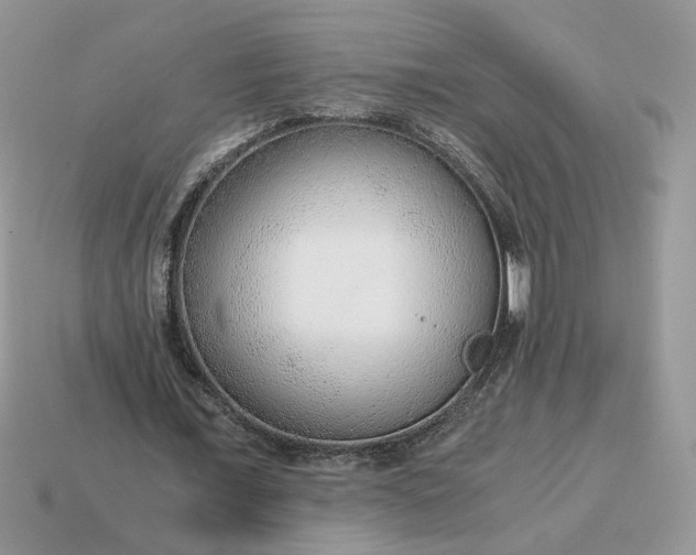 X0000114600675200911091318