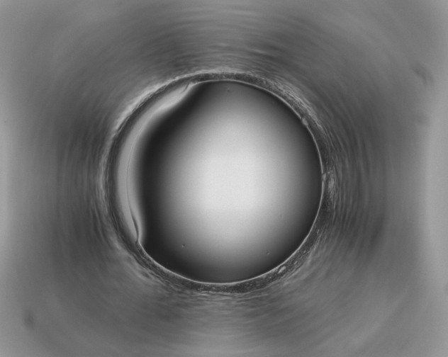 X0000114600676200911091318