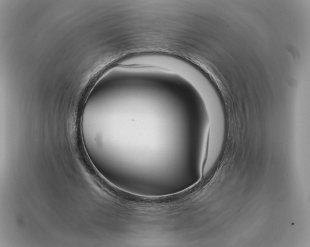 X0000114600677200911091318