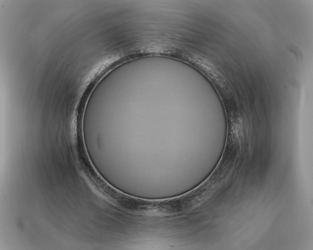 X0000114600678200911091318