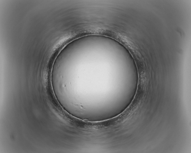 X0000114600679200911091318