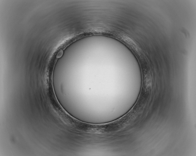 X0000114600680200911091318