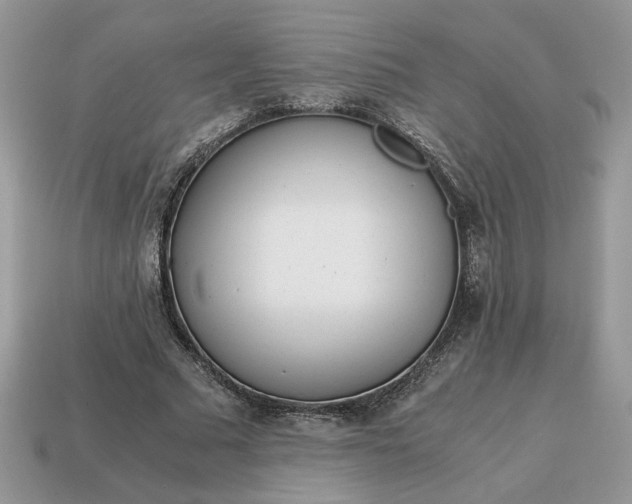 X0000114600681200911091318