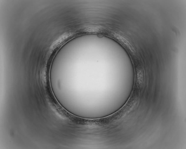 X0000114600682200911091318