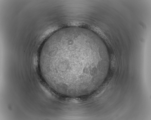 X0000114600683200911091318