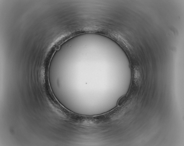 X0000114600684200911091318