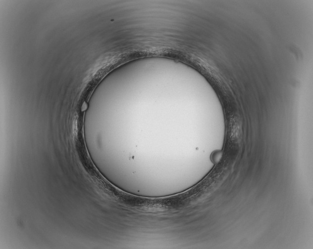 X0000114600685200911091317