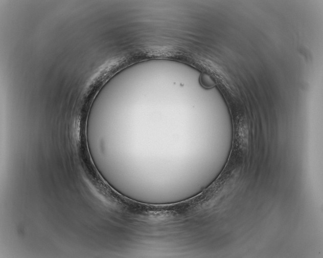 X0000114600686200911091317