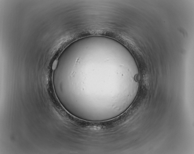 X0000114600687200911091317