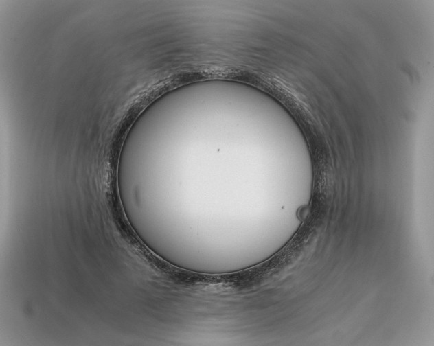 X0000114600689200911091317