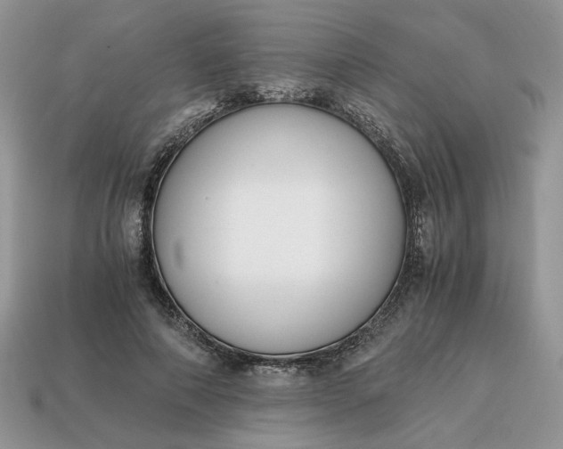 X0000114600690200911091317