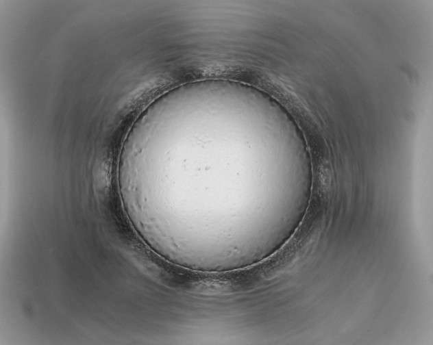 X0000114600691200911091317