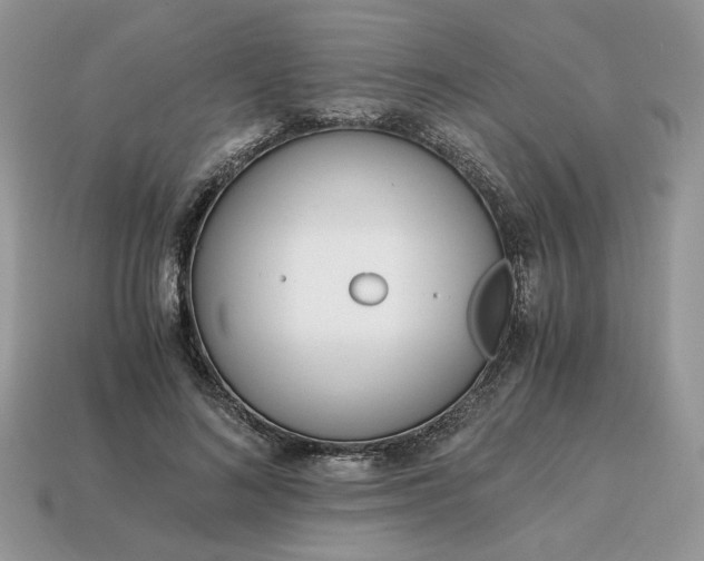 X0000114600692200911091317