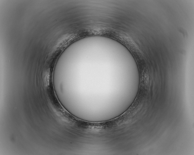 X0000114600694200911091317