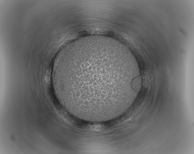 X0000114600695200911091317