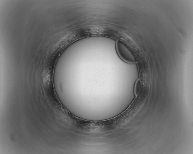 X0000114600697200911091317