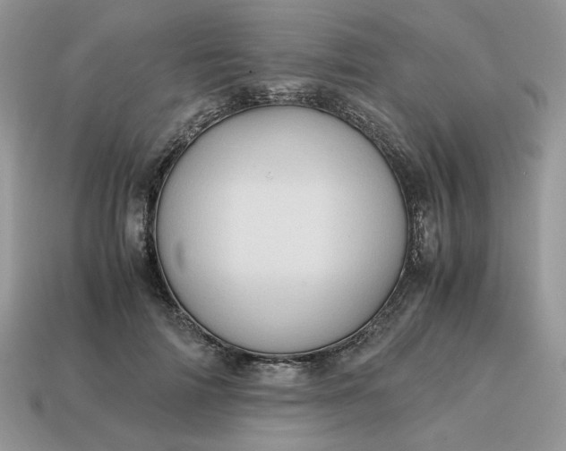 X0000114600698200911091317