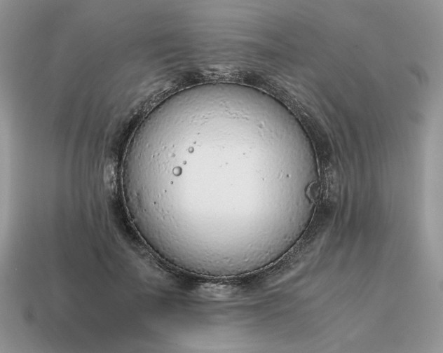 X0000114600699200911091317