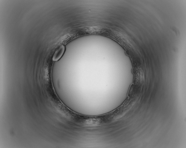 X0000114600700200911091317