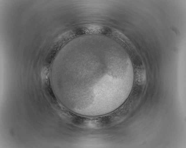 X0000114600701200911091317