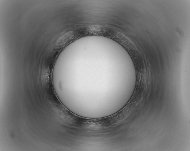 X0000114600702200911091317