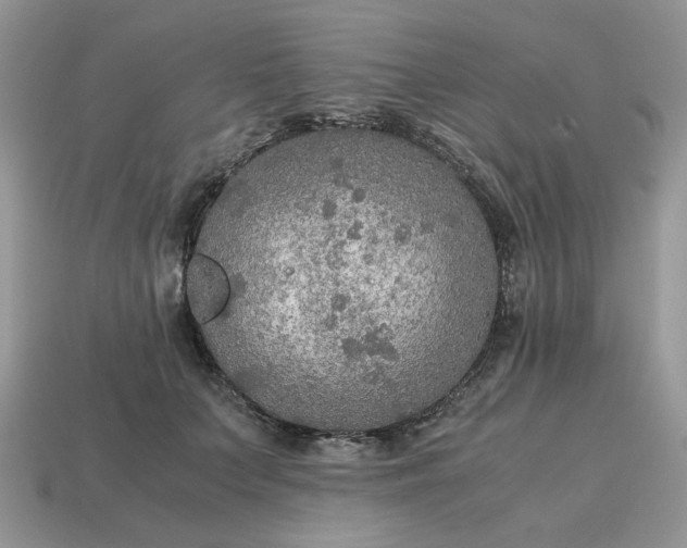 X0000114600703200911091317