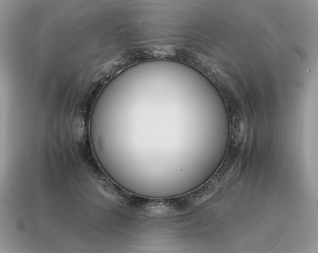 X0000114600704200911091317