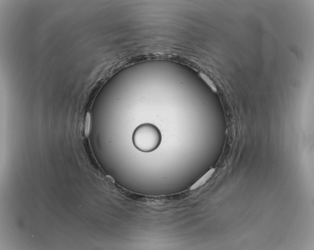 X0000114600709200911091317