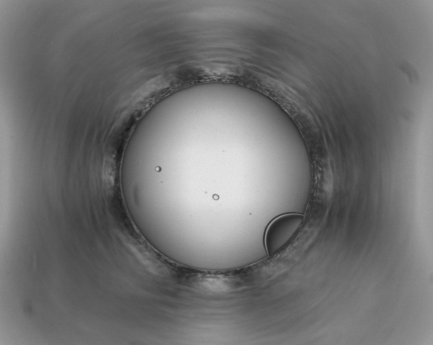 X0000114600710200911091317